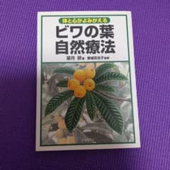 体と心がよみがえるビワの葉自然療法のサムネイル