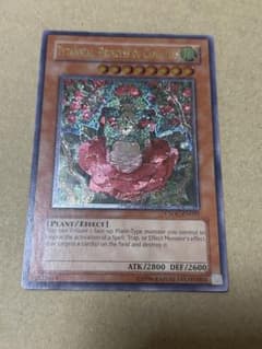 遊戯王 椿姫ティタニアル レリーフ アンリミ 北米版 - メルカリ