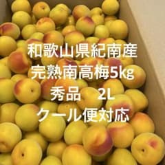 和歌山県紀南産 完熟南高梅5㎏ 秀品2L - メルカリ