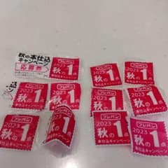 フジパン　ミッフィーエコバック応募券のサムネイル