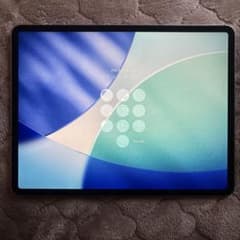 iPad Pro (12.9インチ 第3世代) 本体のサムネイル