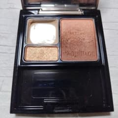 マキアージュ　ドラマティックスタイリングアイズ　OR331のサムネイル