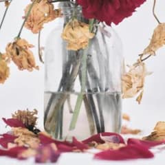 唾奇 武道館Camellia LP (2 vinyl set)のサムネイル