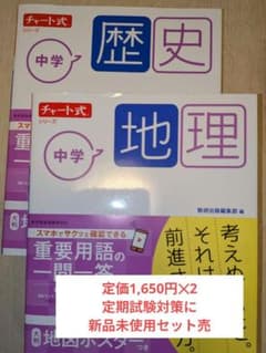 【新品未使用】セット売　チャート式シリーズ 中学地理　中学歴史のサムネイル