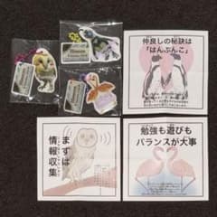 ペンギン フクロウ フラミンゴ 限定 恋みくじ キーホルダー 姫セン