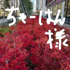 ちゃーはん様専用　美品ニトリ　オフィスチェアのサムネイル