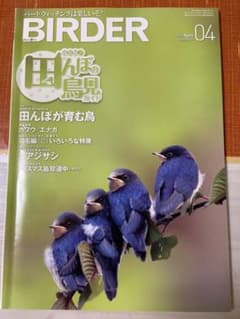 BIRDER 2009年 4月号のサムネイル