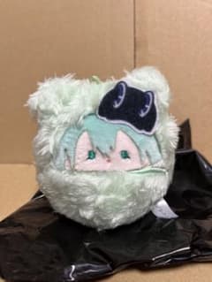 REBORN 프랑 구루미타 피누이