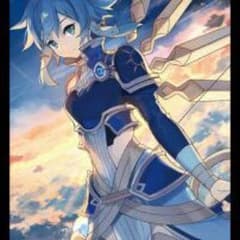 c95 混沌の女神様 SAO シノンスリーブのサムネイル