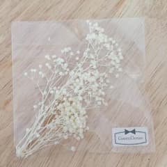 かすみ草 ドライフラワー 2袋setのサムネイル
