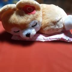 콩 시바 봉제인형 본체 X'mas 선물(*^^*)