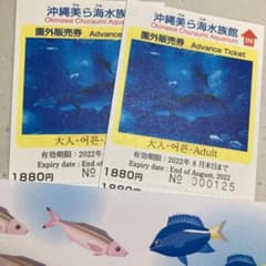 美ら海水族館　チケットのサムネイル
