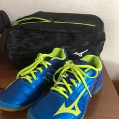 卓球シューズ　25センチ　シューズバック付きのサムネイル