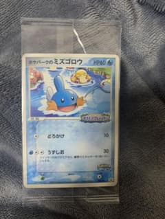 ポケパークのミズゴロウ プロモ 048/PCG-P ポケモンカード - メルカリ