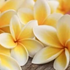 みんみ様 専用のサムネイル