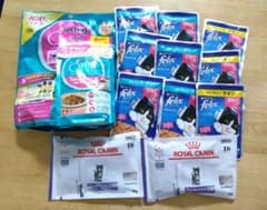 子猫用エサ　フィリックス・ピュリナワン・ロイヤルカナンのサムネイル