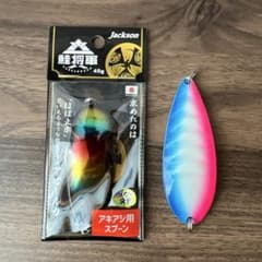 アキアジルアー45g フジワラ鮭勝 ジャクソン鮭将軍2個セット - メルカリ