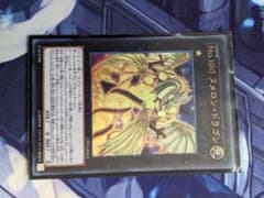 遊戯王 Ｎｏ.１００ ヌメロン・ドラゴンのサムネイル