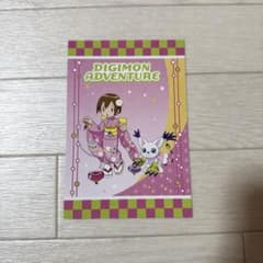 디지몬 야가미 히카리 엽서 테일몬