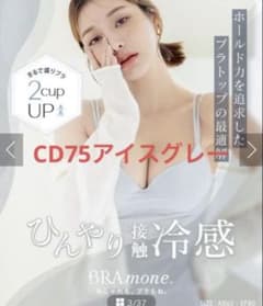 tu-hacci 땀 제거 패드가있는 브라톱 CD75 아이스 그레이