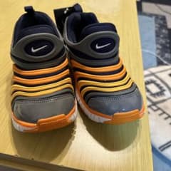 ナイキ ダイナモ フリーのサムネイル