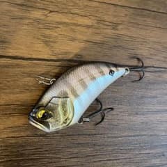 RAID JAPAN レベルバイブ　ビッグのサムネイル