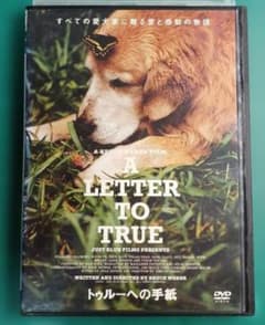 トゥルーへの手紙 DVDのサムネイル