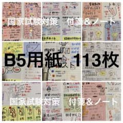 간호사 국가 시험 대책 B5 113장 ⭐︎부착 정리 노트 ⭐︎간호 학생