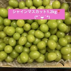 シャインマスカット 1.2kg ❣️のサムネイル