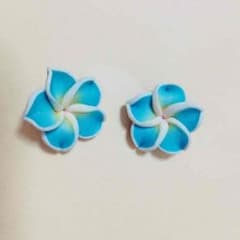 ハイビスカスピアスのサムネイル