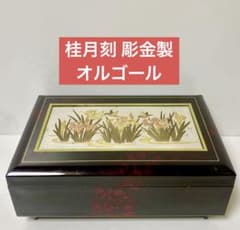 m54887430066_1.jpg?1749031810