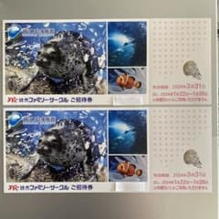 新江ノ島水族館　ご招待券(大人、子供共通) ２枚  有効期限2024年3月31日のサムネイル
