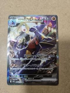 な*か様 シロナのガブリアス　exのサムネイル
