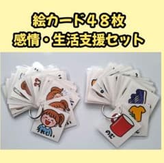 絵カード48枚 感情・生活支援セット 声スケール付き リングカード 療育