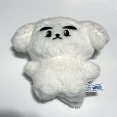シャオジュン ぬいぐるみ 10cm wayv - メルカリ