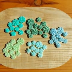 樹脂粘土　多肉植物　パーツのサムネイル