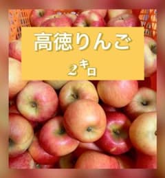 訳あり　今期初獲れ完熟蜜入り　高徳「こうとく」2㌔ - 3