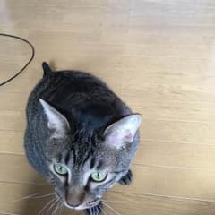 yoco様専用のサムネイル