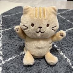 레어 동작 확인이 끝난 채 차환 봉제인형 불불 진동