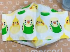 オカメインコと黄セキセイインコ♡のサムネイル