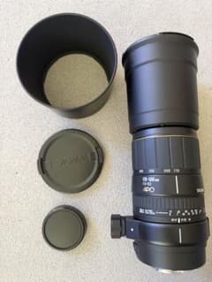 Canon SIGMA 170-500mm APO EFマウント - メルカリ