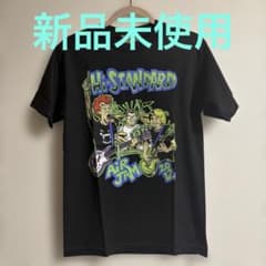 【新品未使用】AIR JAM 2012 Tシャツ Sサイズのサムネイル