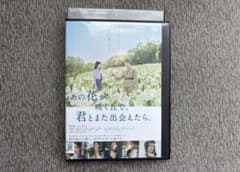 그 꽃이 피는 언덕에서 너와 다시 만날 수 있으면 후쿠하라 하루카 미즈카미 항지 영화 DVD