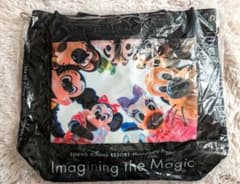 【ちき様専用】ディズニー　実写　イマジニングザマジックのサムネイル