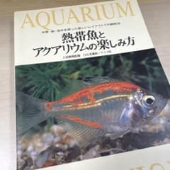 熱帯魚とアクアリウムの楽しみ方 : 水草・岩・流木を使った美しいレイアウトでの…のサムネイル