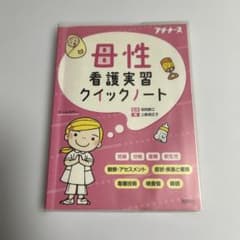 母性看護実習クイックノートのサムネイル