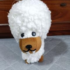 アフロ犬 ぬいぐるみのサムネイル