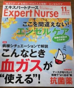 エキスパートナース　2015年11月号min様専用のサムネイル