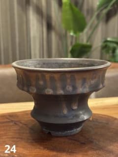 陶器鉢 植木鉢 塊根植物 コーデックスのサムネイル