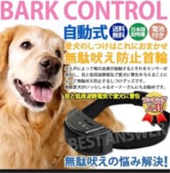 しつけ用犬首輪のサムネイル